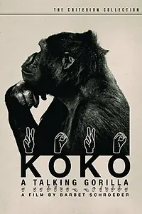 Главный постер фильма «Коко, говорящая горилла (1978)»