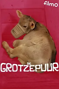 Постер к фильму «De Grotzepuur (1975)»