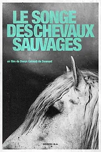 Главный постер фильма «Мечта диких лошадей (1960)»