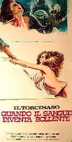 Главный постер фильма «Кляп — когда закипает кровь (1975)»