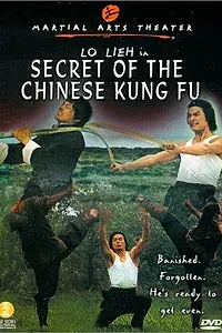 Постер к фильму «Wu xing ba quan (1977)»