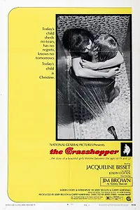 Главный постер фильма «Кузнечик (1970)»
