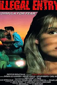 Постер к фильму «Незаконное вторжение (1993)»
