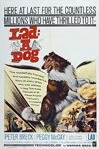 Главный постер фильма «Lad: A Dog (1962)»