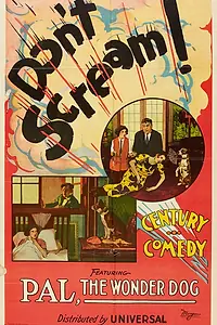 Постер к фильму «Don't Scream (1923)»