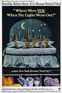 Постер к фильму «А где был ты, когда погас свет? (1968)»