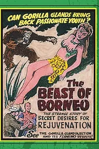 Постер к фильму «The Beast of Borneo (1934)»