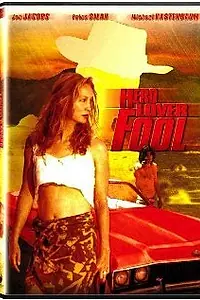 Постер к фильму «Hero, Lover, Fool (1996)»