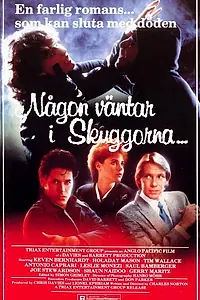Главный постер фильма «Бей или умри (1987)»