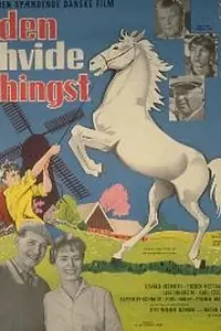 Постер к фильму «Den hvide hingst (1961)»