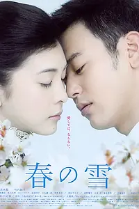Главный постер фильма «Весенний снег (2005)»