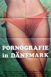 Постер к фильму «Порнография в Дании (1970)»