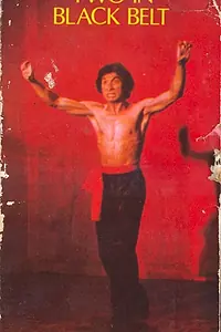 Главный постер фильма «Двое в черном поясе (1978)»