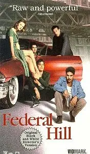 Постер к фильму «Федерал Хилл (1994)»