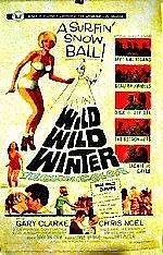 Главный постер фильма «Дикая, дикая зима (1966)»