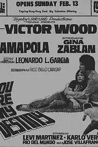 Главный постер фильма «You Are My Destiny (1973)»