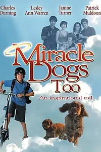 Главный постер фильма «Зак и чудо-собаки (2006)»