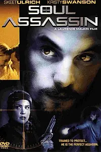 Постер к фильму «Душа убийцы (2001)»