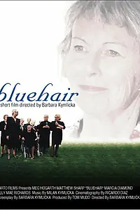 Главный постер фильма «Bluehair (2001)»