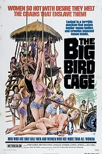 Постер к фильму «Большая клетка для птиц (1972)»