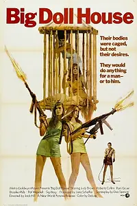 Постер к фильму «Дом большой куклы (1971)»