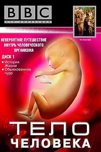 Главный постер сериала «BBC: Тело человека (1998)»