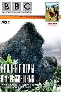Постер к сериалу «BBC: Брачные игры в мире животных (1999)»