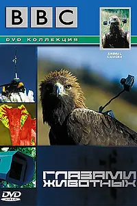 Постер к сериалу «BBC: Глазами животных (2004)»