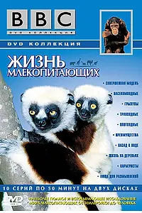 Постер к сериалу «BBC: Жизнь млекопитающих (2002)»