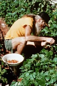 Постер к фильму «Dirt (1999)»