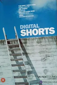 Постер к фильму «Stripes (2005)»