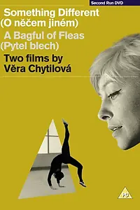 Постер к фильму «О чем-то ином (1963)»