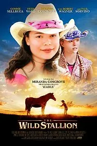 Главный постер фильма «Дикий жеребец (2009)»
