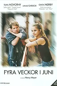 Главный постер фильма «Четыре недели в июне (2005)»