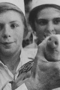 Главный постер фильма «Сильвестер (1974)»