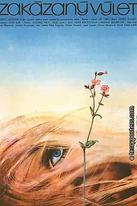 Постер к фильму «Zakázaný výlet (1981)»