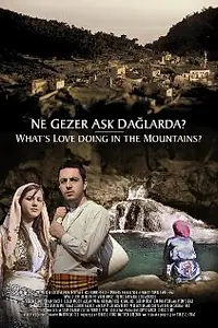 Постер к фильму «What's Love Doing in the Mountains? (2005)»
