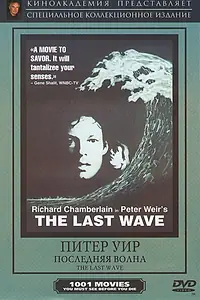 Постер к фильму «Последняя волна (1977)»