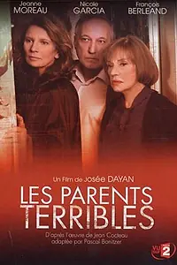 Постер к фильму «Трудные родители (2003)»
