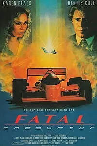 Постер к фильму «Fatal Encounter (1990)»