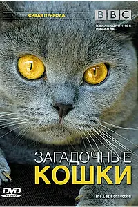 Постер к фильму «BBC: Загадочные кошки (2002)»