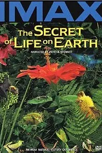 Главный постер фильма «The Secret of Life on Earth (1993)»