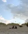 Постер к фильму «Rauskommen (2006)»