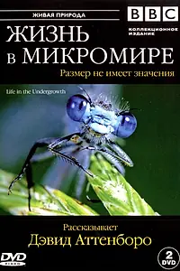 Постер к сериалу «BBC: Жизнь в микромире (2005)»