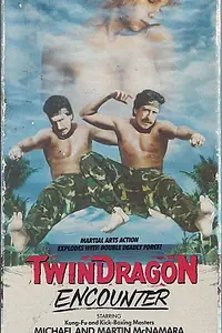 Постер к фильму «Twin Dragon Encounter (1986)»