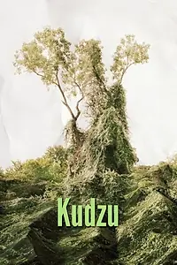 Главный постер фильма «Кудзу (1977)»