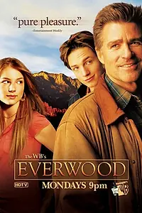Постер к сериалу «Любовь вдовца (2002 - 2006)»