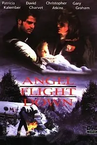 Главный постер фильма «Падение борта «Ангел» (1996)»