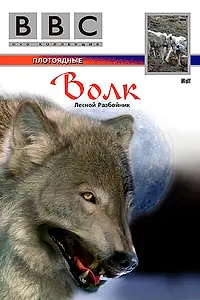 Постер к фильму «BBC: Волк (1997)»