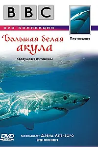 Главный постер фильма «BBC: Большая белая акула (1995)»